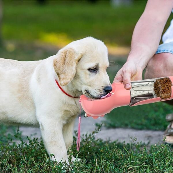 Pet Water Bottle Feeder